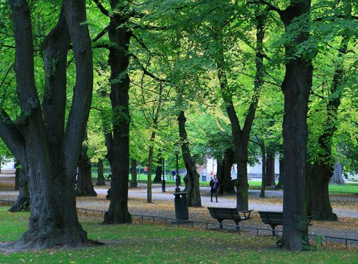 File:The park Humlegården in central Stockholm bb.JPG - Wikimedia Commons