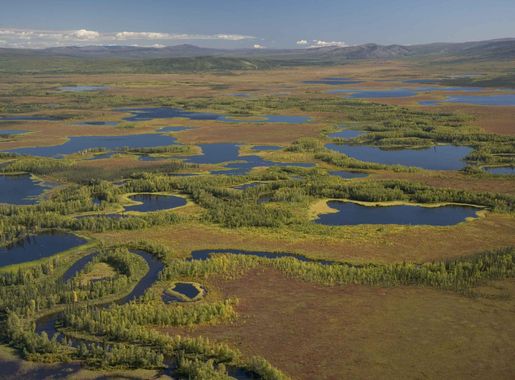 Free picture: kanuti, river, wetlands