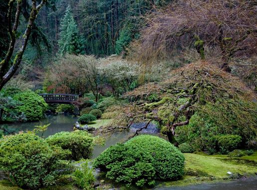 File:Japanese Garden -1.jpg - Wikimedia Commons