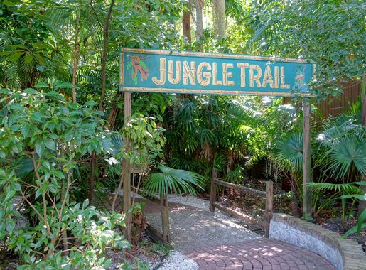 File:Jungle trail - Sarasota Jungle Gardens - Sarasota, Florida -  DSC01948.jpg - Wikimedia Commons