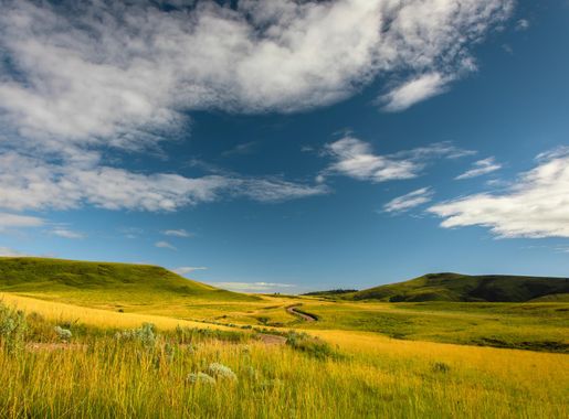 File:Kitulo National Park 16.jpg - Wikimedia Commons