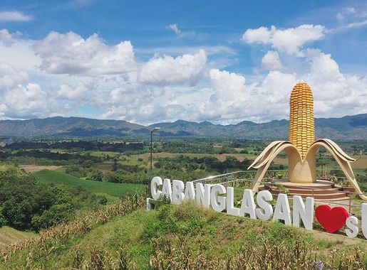 File:Ear of Corn Landmark - Cabanglasan.jpg - Wikimedia Commons