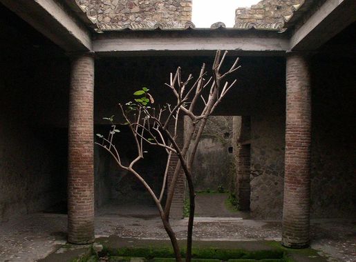 File:Villa-of-the-mysteries-atrium-tetrastyle.jpg - Wikimedia Commons