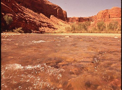 Bryce Canyon National Park, sprawling | Free Photo - rawpixel