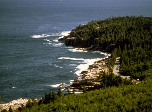 Shoreline Landscape at Acadia National Park, Maine image - Free stock photo  - Public Domain photo - CC0 Images