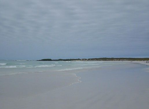 File:Tortuga Bay on the Island of Santa Cruz, Galapagos.JPG - Wikimedia  Commons