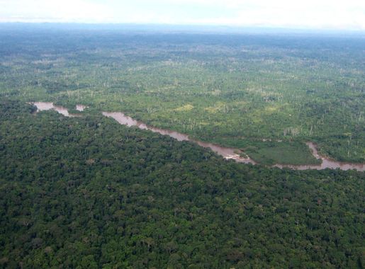 Free picture: aerial, green, African, forest, Liberia