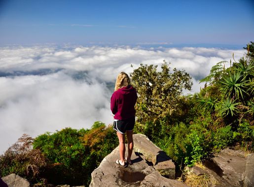 File:God's Window, Blyde River Canyon Nature Reserve, Drakensberg,  Mpumalanga, South Africa (20327385320).jpg - Wikimedia Commons