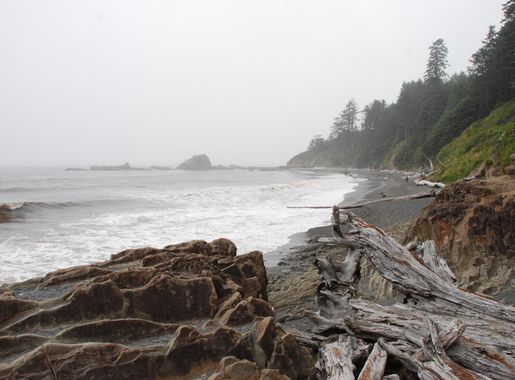 Free Images : beach, landscape, driftwood, sea, coast, nature, forest,  rock, ocean, wood, fog, shore, wave, river, cliff, cove, america, bay,  terrain, material, body of water, washington state, atmospheric phenomenon  3872x2592 - -