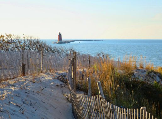 File:Cape Henlopen State Park, Lewes, Delaware - panoramio.jpg - Wikimedia  Commons