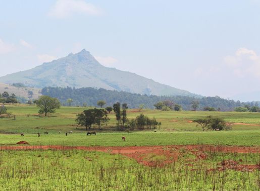 File:Mlilwane Wildlife Sanctuary in Eswatini 01.jpg - Wikimedia Commons