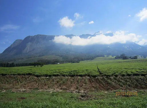 Blantyre photo 2