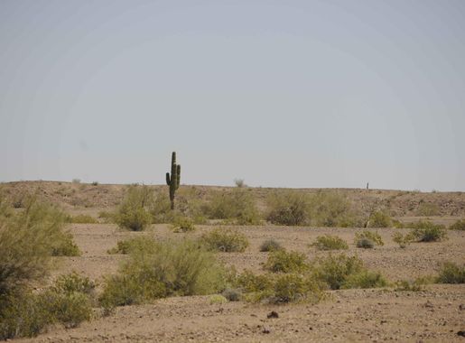 File:Desert on Cibola national wildlife refuge.jpg - Wikimedia Commons
