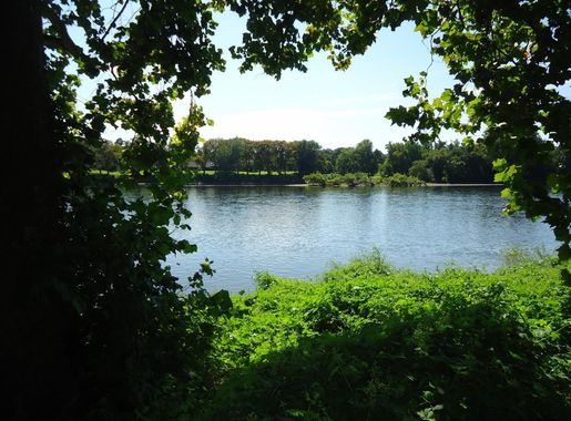 File:Washington Crossing NJ State Park Delaware River looking across to  Pennsylvania.JPG - Wikimedia Commons