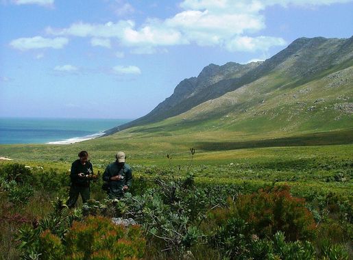 File:Kogelberg Biosphere Reserve - city of Cape Town.JPG - Wikipedia