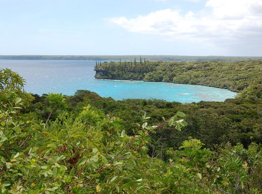 Fichier:Santal Bay, Lifou, 2007 (3).JPG — Wikipédia