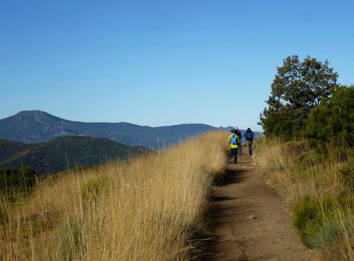 Free Images : landscape, nature, path, wilderness, walking, sky, hiking,  trail, field, prairie, hill, adventure, mountain range, dirt road, walk,  tourism, ridge, trees, spain, grassland, plateau, walker, ecosystem, rural  area, pilgrim, way