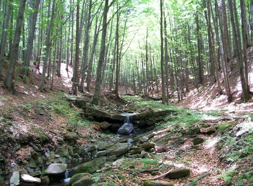 File:B&p 076.jpg - Wikimedia Commons