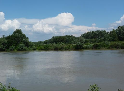 File:Tisza river - Szolnok, Hungary (11).JPG - Wikimedia Commons