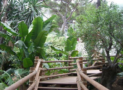 File:Alameda Gardens, Africa beds.jpg - Wikimedia Commons