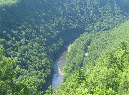 File:Pine Creek Gorge, north from Leonard Harrison State Park.JPG -  Wikipedia