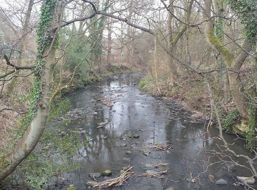File:Jesmond Dene 1097.JPG - Wikimedia Commons