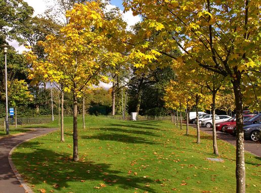 File:Bellahouston Park, Glasgow - geograph.org.uk - 2090044.jpg - Wikimedia  Commons
