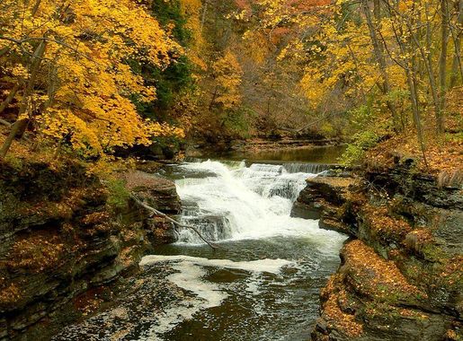 File:Ithaca Hemlock Gorge.JPG - Wikimedia Commons