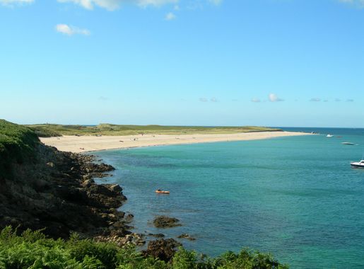 File:HermShellBeach.JPG - Wikimedia Commons
