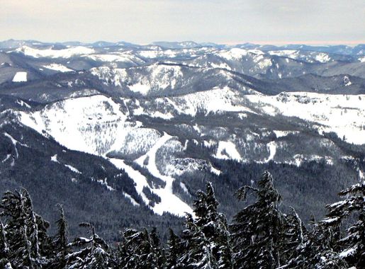 File:Ski bowl from timberline P1571.jpeg - Wikimedia Commons