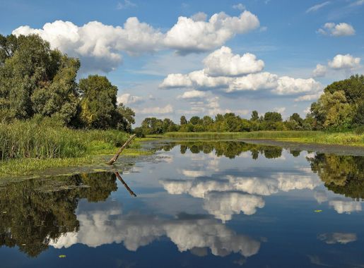 File:August. Kozachij island in the Dnipro river. Ukraine.jpg - Wikimedia  Commons
