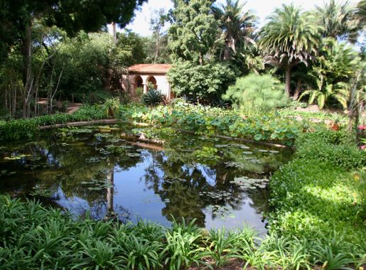 File:Flickr - brewbooks - Water Garden, Lotusland.jpg - Wikimedia Commons