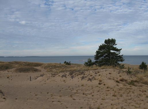 File:Kalajoki dunes.JPG - Wikimedia Commons