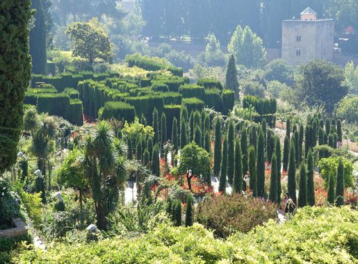 File:Gardens in Generalife - Alhambra, Granada, Spain - DSC07867.JPG -  Wikimedia Commons