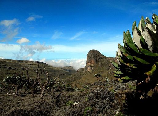 File:Mount Elgon-2.jpg - Wikimedia Commons