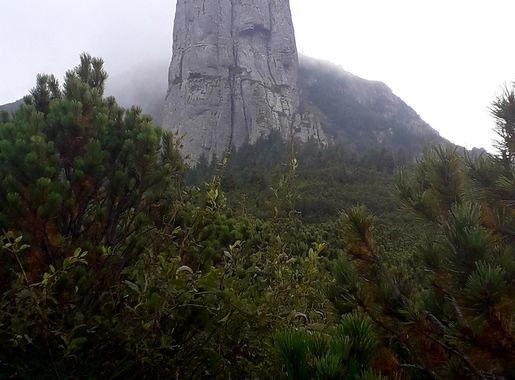 File:Ceahlau 3.jpg - Wikimedia Commons