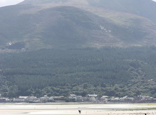 File:Murlough Beach, August 2010 (08).JPG - Wikimedia Commons