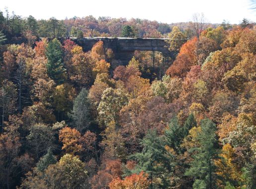File:Natural Bridge State Park Kentucky.jpg - Wikimedia Commons