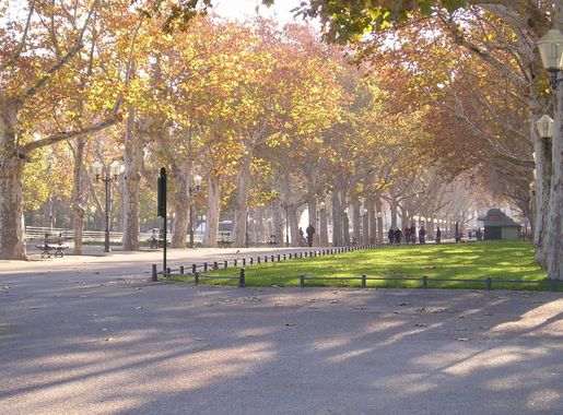 Fichier:Montpellier Esplanade Ch de Gaulle 27122006.JPG — Wikipédia