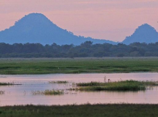 Ficheiro:Mount Gorongosa, Gorongosa National Park, Mozambique (cropped).jpg  – Wikipédia, a enciclopédia livre