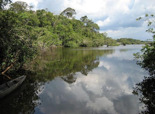 File:Laguna, parque nacional de Cuyabeno, Ecuador.jpg - Wikimedia Commons