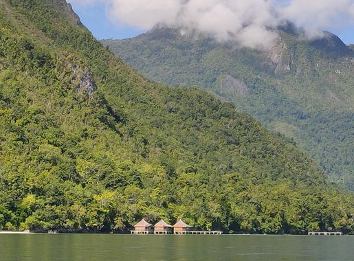 File:Manusela National park.jpg - Wikipedia