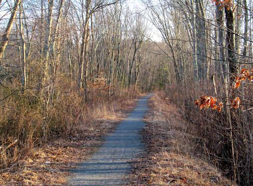 File:Whitney Spur Rail Trail, March 2014.JPG - Wikimedia Commons