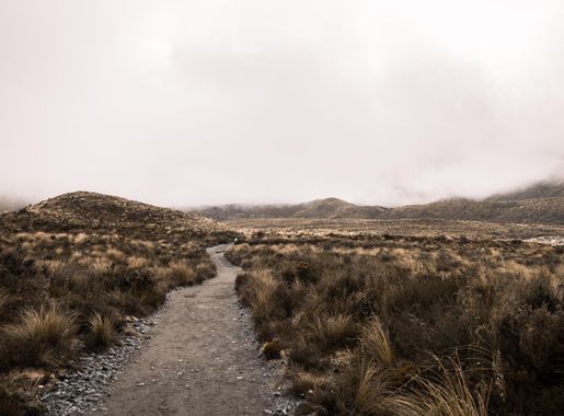 File:Tongariro Alpine Crossing, Tongariro National Park, New Zealand  (Unsplash KI0g45putx8).jpg - Wikimedia Commons