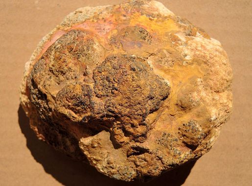 File:Proterozoic, Paleoproterozoic, fossils, microfossils, life, biota,  GOE, Franceville, Gabon, a.JPG - Wikimedia Commons