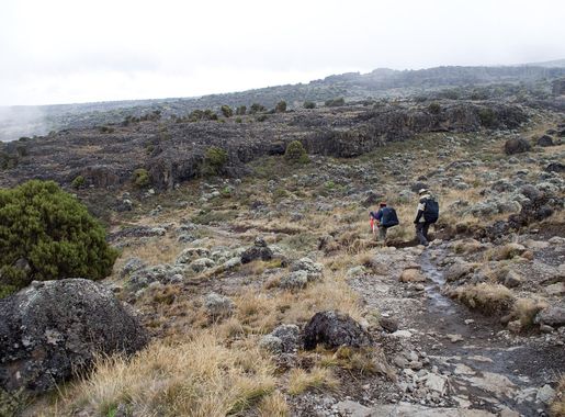 File:Shira plateau.jpg - Wikimedia Commons