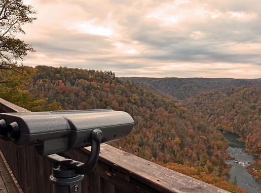 Vandals Destroy Big South Fork's Specially-Equipped Viewfinder That Helped  Color Blind Visitors See Vibrant Fall Foliage - Big South Fork National  River & Recreation Area (U.S. National Park Service)