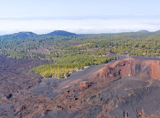 File:Frozen lava and pine trees around the crater of Mount Teide on Tenerife,  Spain (48225433291).jpg - Wikimedia Commons