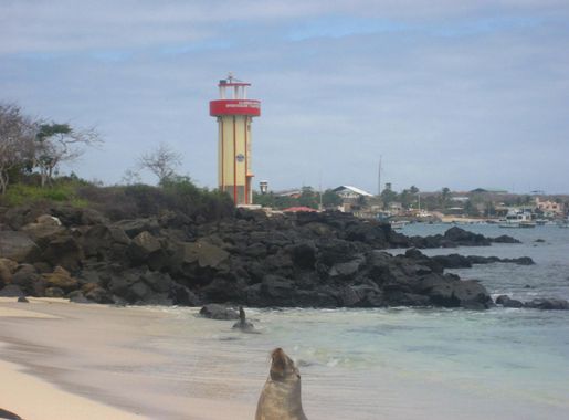 Ficheiro:Galapagos2007--50--08-22-07.JPG – Wikipédia, a enciclopédia livre
