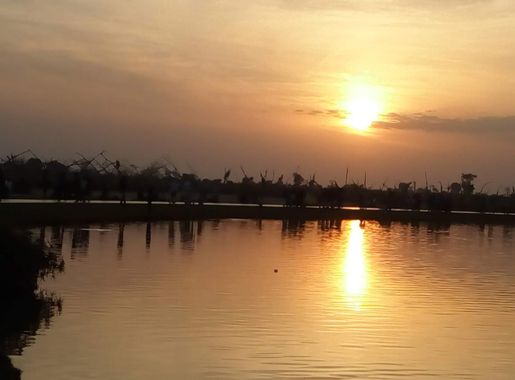 File:Sunset view of Love Lake.jpg - Wikimedia Commons